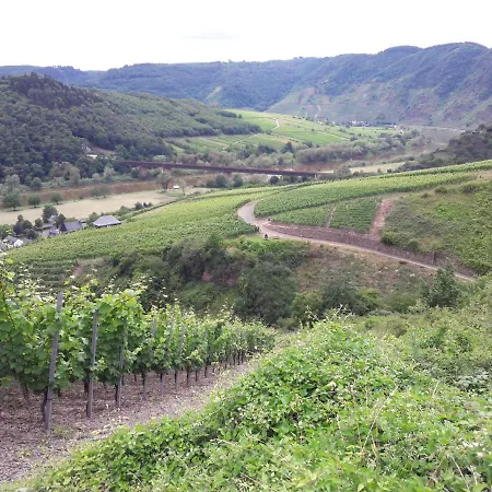 Luxury In Cochem For 7 People