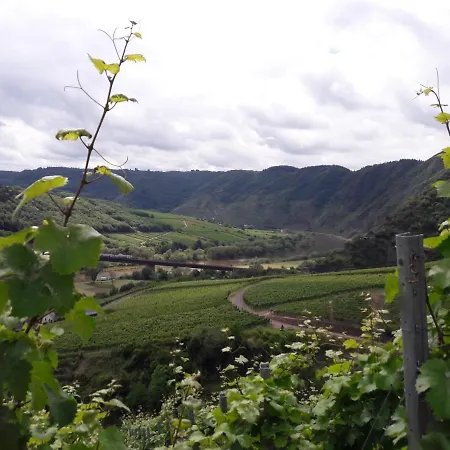 Luxury In Cochem For 7 People