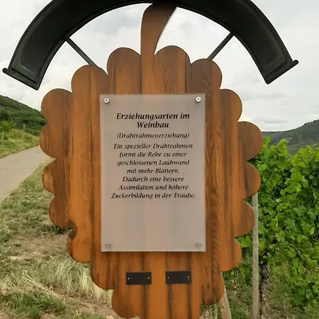 Ferienhaus Luxury In Cochem For 7 People *