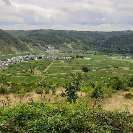 Luxury In Cochem For 7 People Ediger-Eller